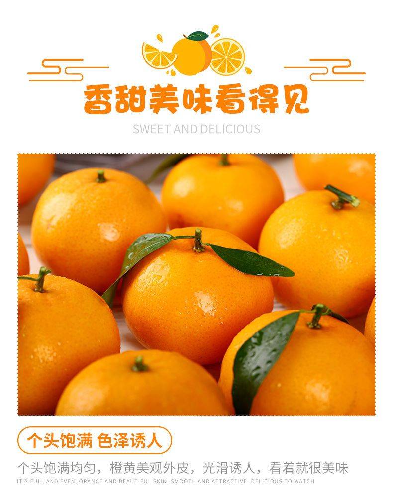 個(gè)頭飽滿 色澤誘人