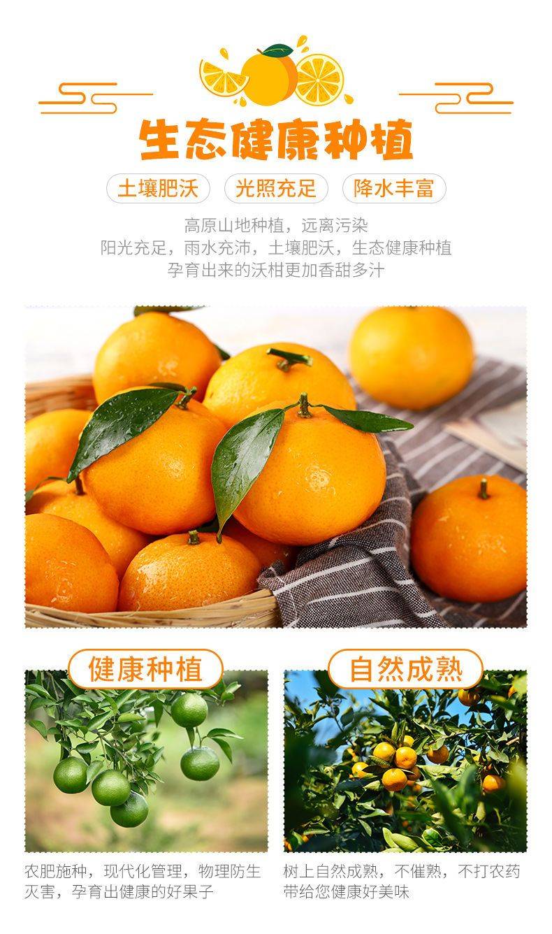 生態(tài)健康種植