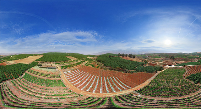 果園環(huán)境生態(tài)全景圖