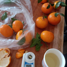 高達(dá)15.6甜度的現(xiàn)摘沃柑