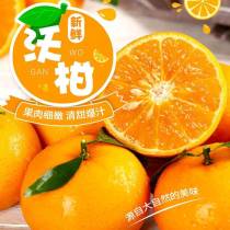 云南沃柑 果園剛成熟 當(dāng)季新鮮 不過(guò)冷藏和保鮮